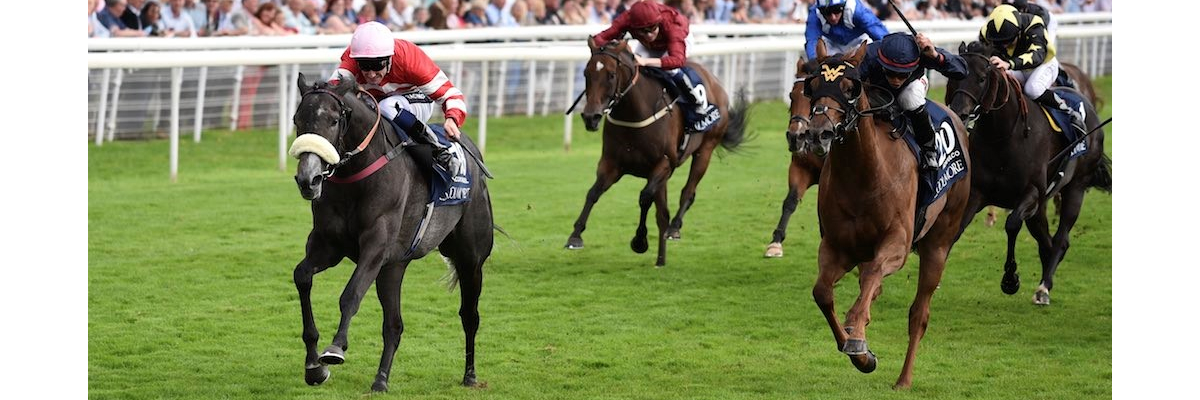 Mecca's Angel : Group 1 Nunthorpe Stakes 2015 and 2016